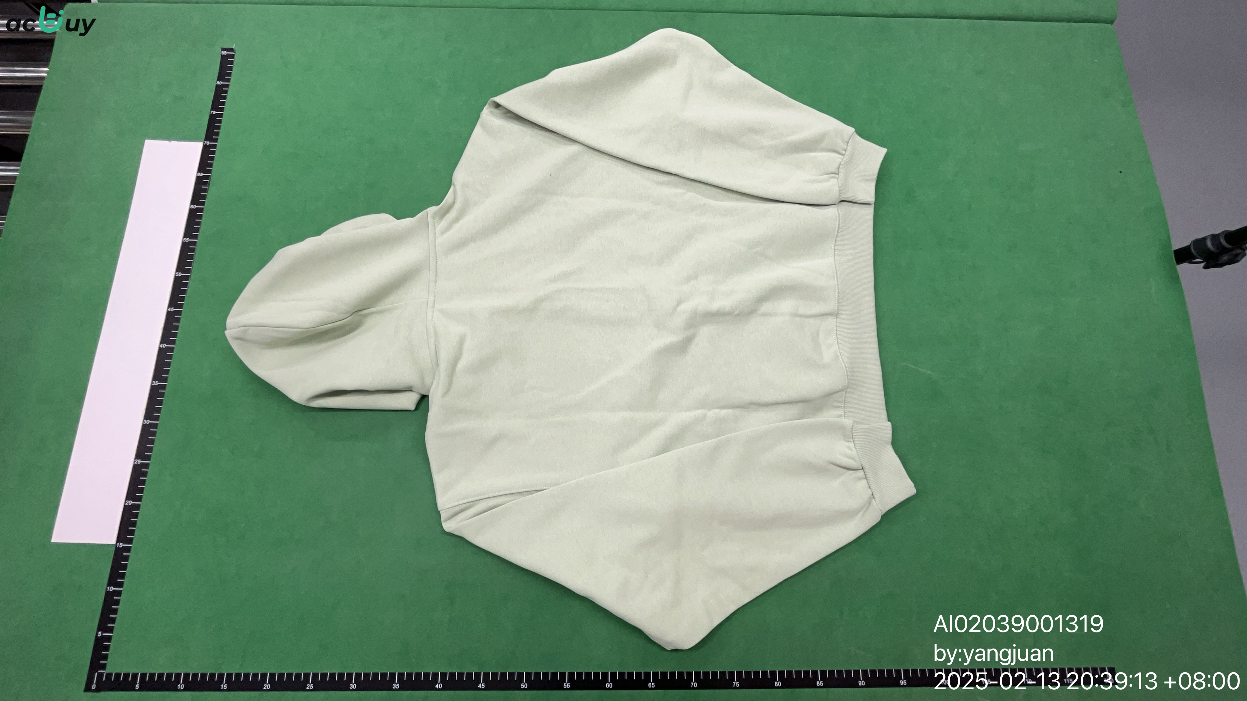 QC Photo - Akimbo Light Green Zip-Up Hoodie